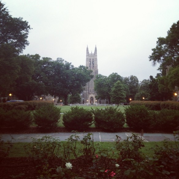 20130703-120901.jpg