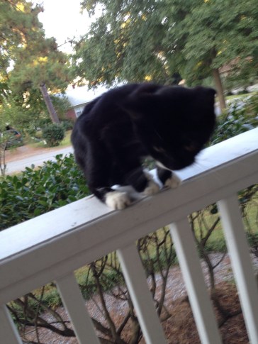 20131004-103840.jpg