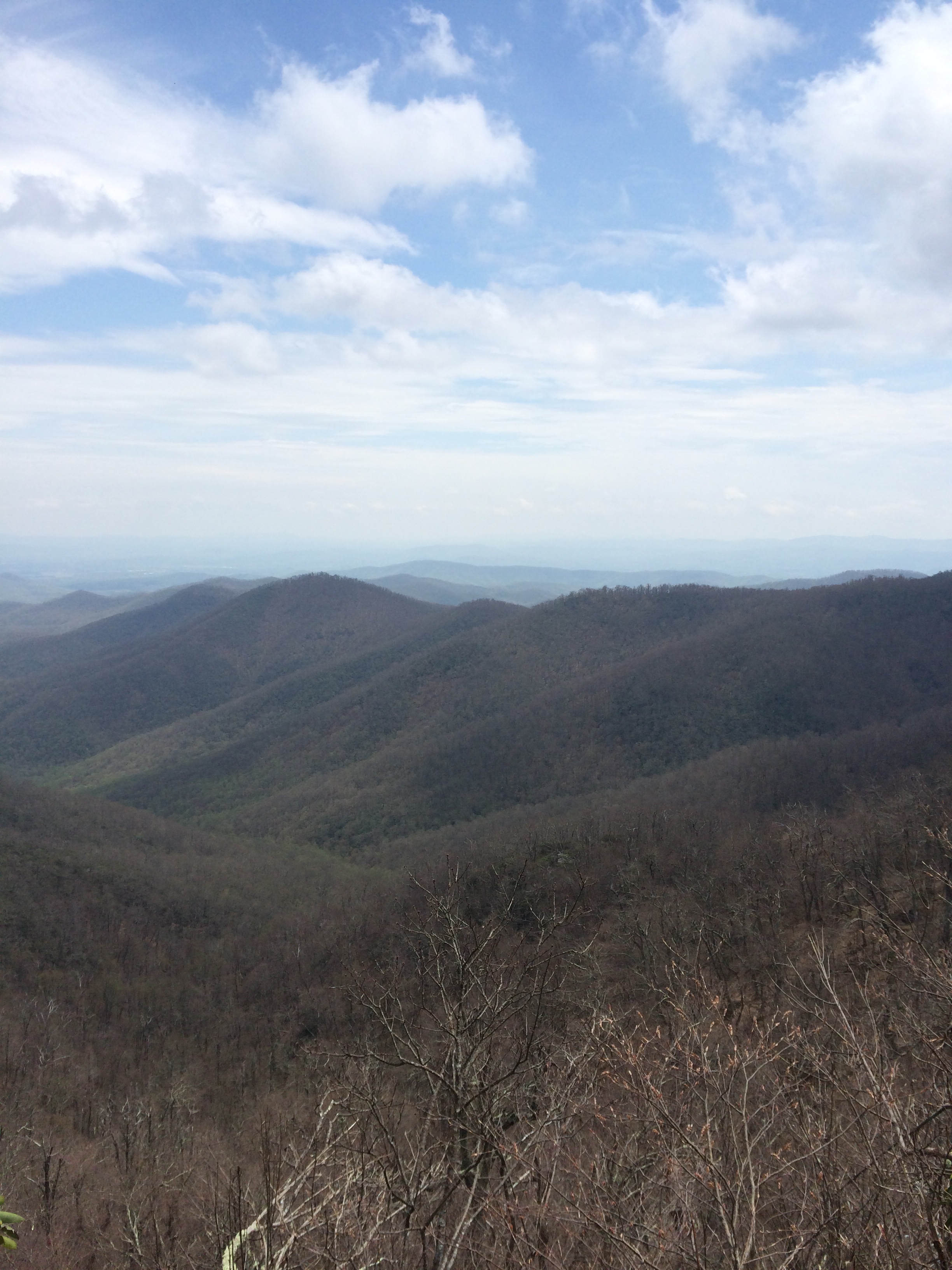 20140430-115653.jpg