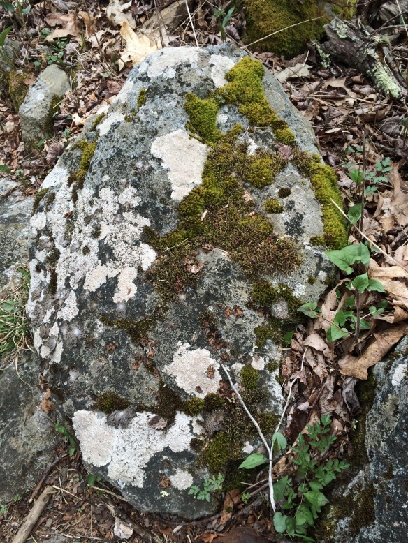 20140507-182446.jpg