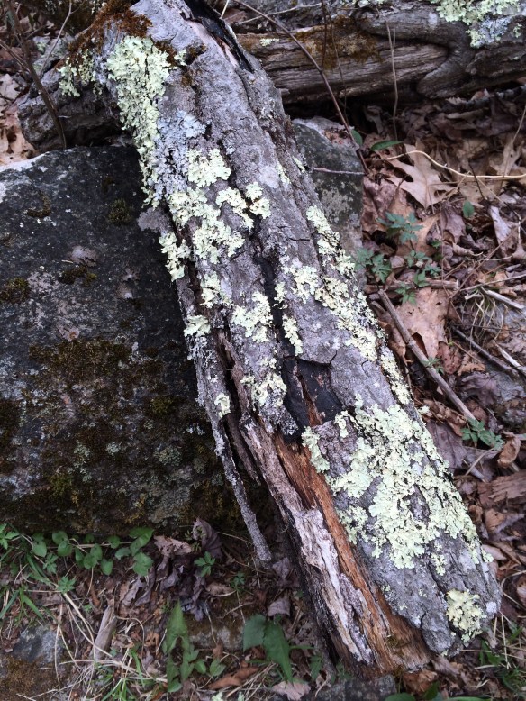 20140507-182456.jpg