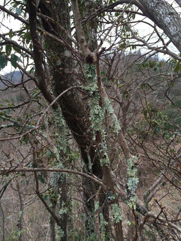 20140507-182505.jpg